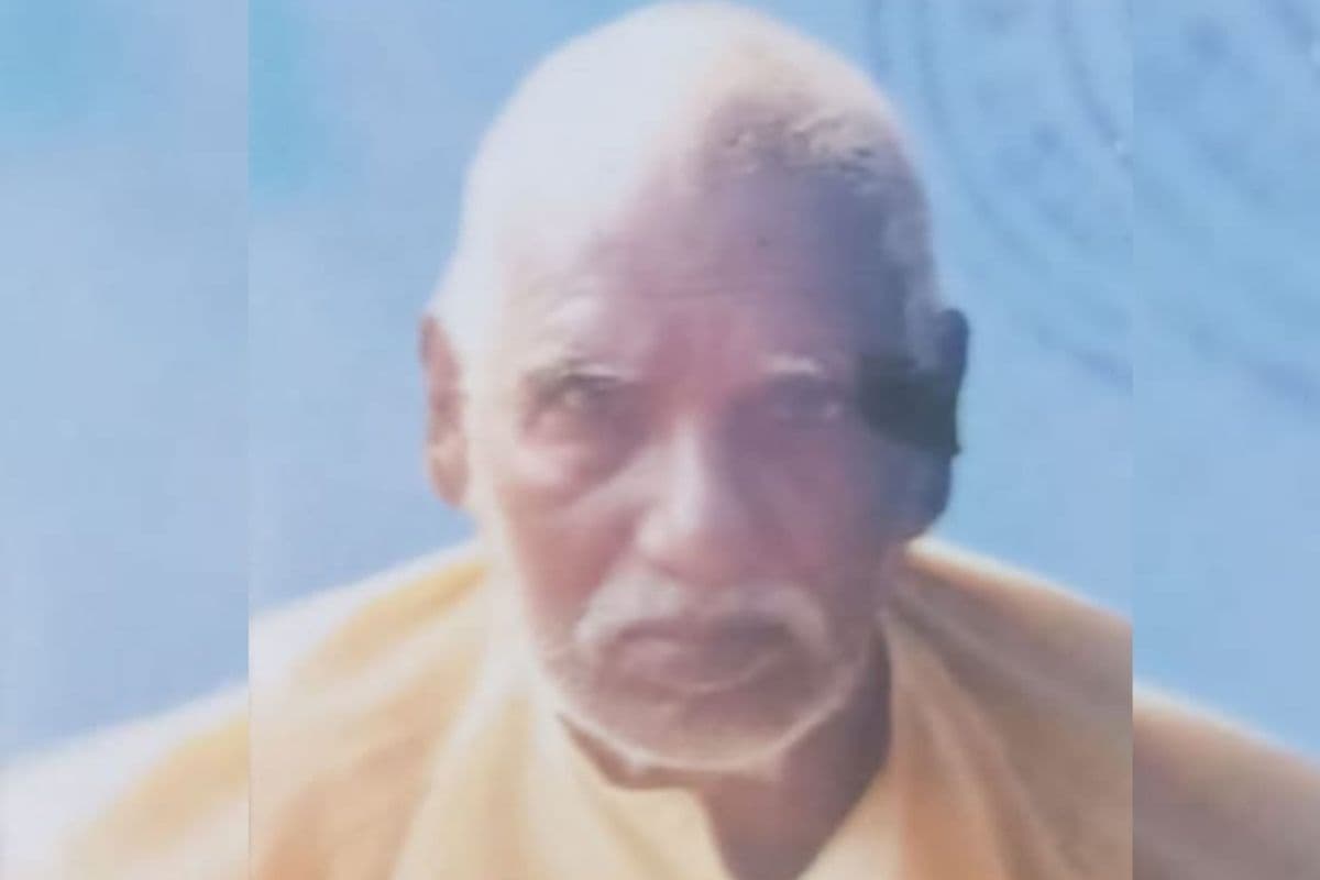 पतरातू में मधुमक्खियों का हमला, रिटायर्ड कर्मचारी की मौत, कई शिक्षक और राहगीर घायल