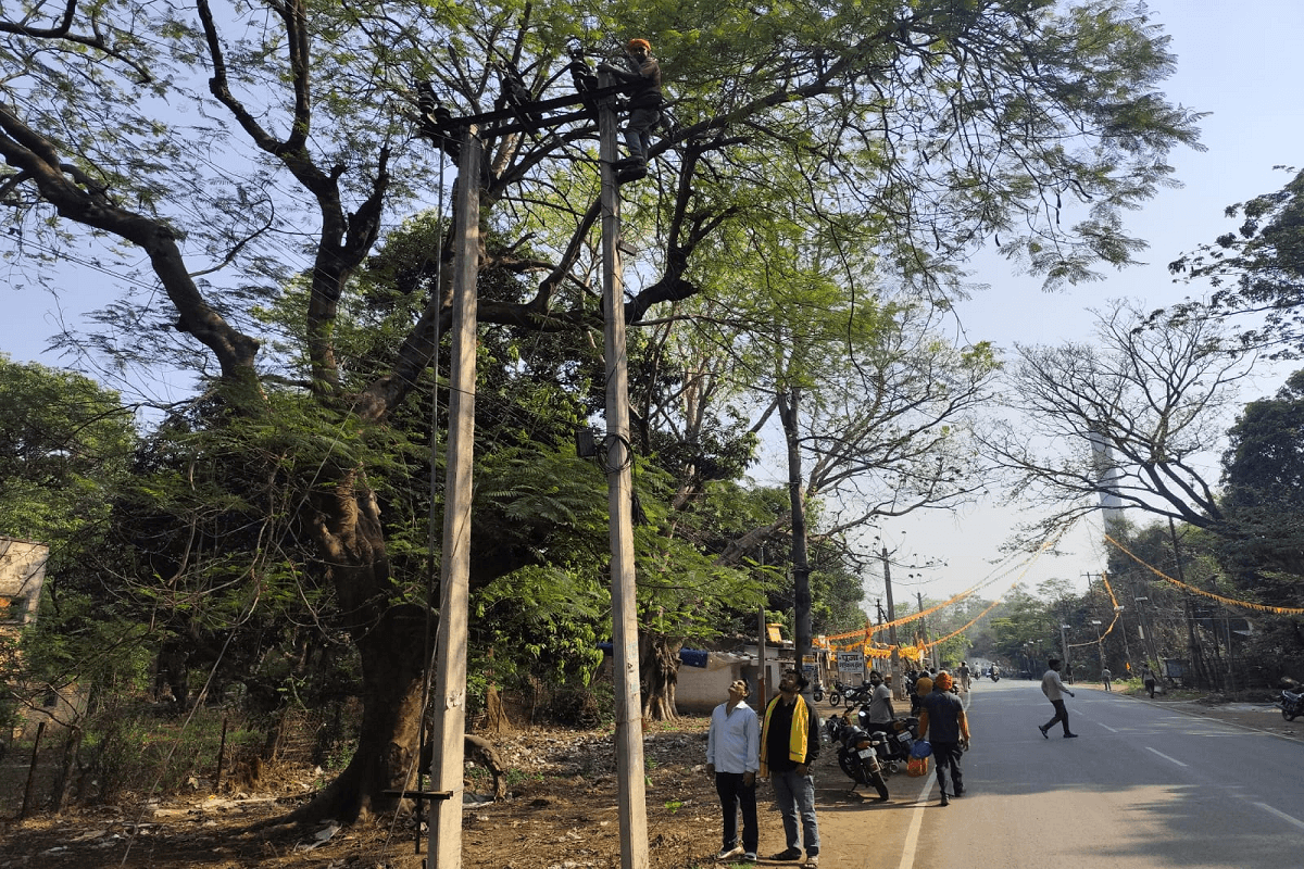 पतरातू में आफत बने हाई वोल्टेज तार, पेड़ों की डालियों में उलझने से बिजली सप्लाई बाधित