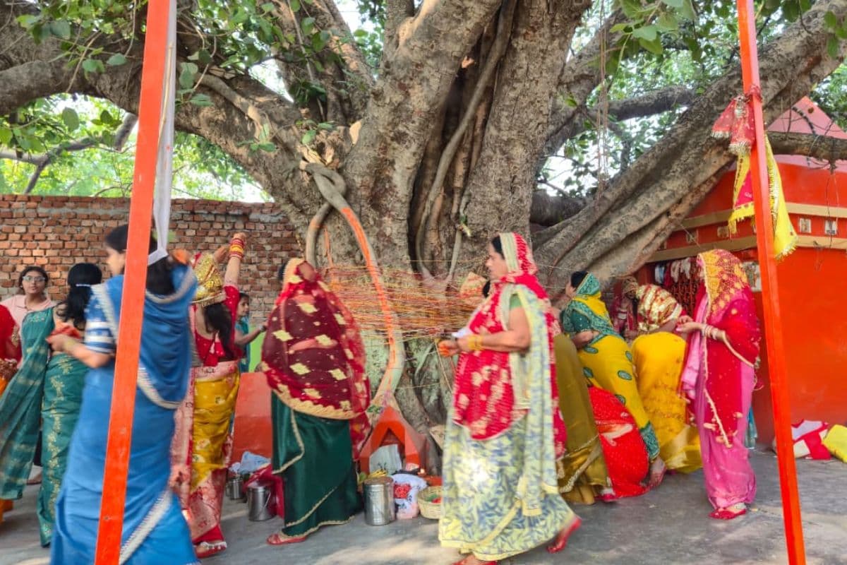 पति की लंबी उम्र के लिए महिलाओं ने रखा निर्जला व्रत, वट वृक्ष के लिए फेरे, उमड़ा आस्था का सैलाब