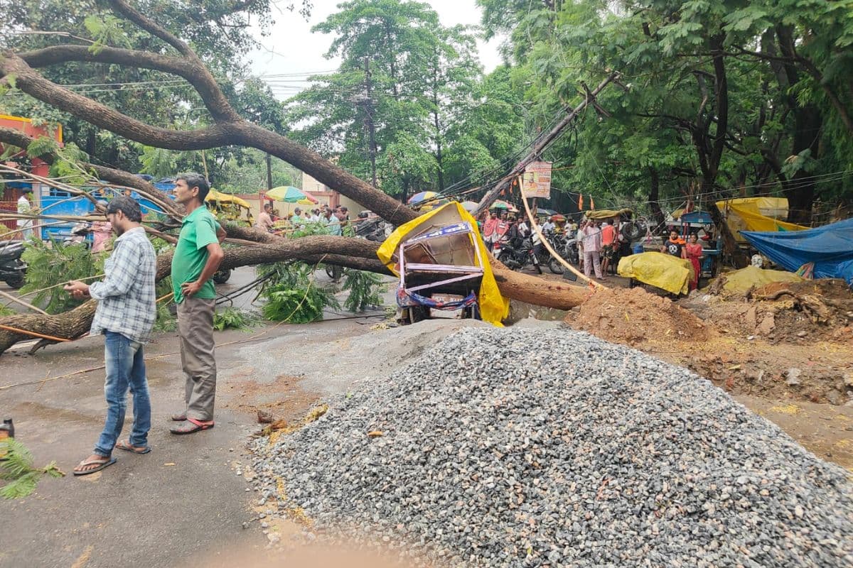 रांची : डोरंडा में बारिश के बीच हाई वोल्टेज तारों पर गिरा पेड़, बिजली आपूर्ति ठप 