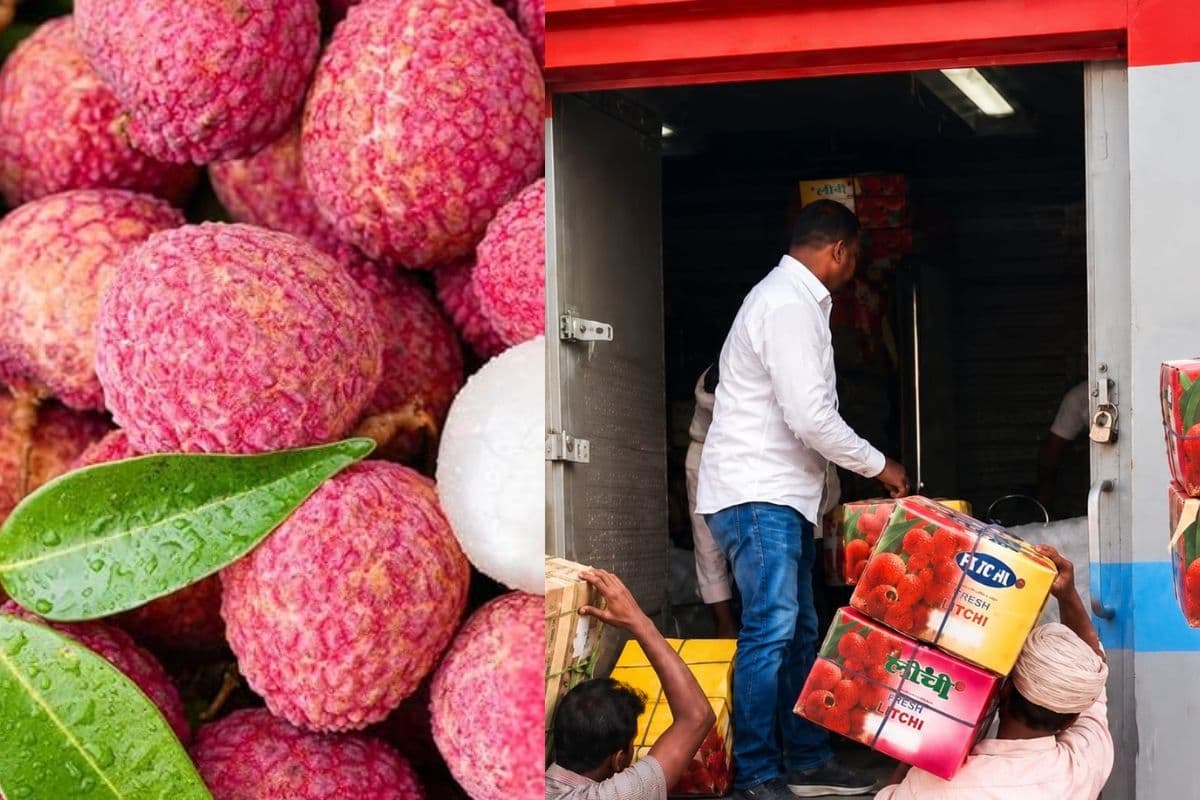 हाजीपुर बना लीची निर्यात का नया रेल हब, पहली बार सीधी लोडिंग से व्यापारियों को बड़ी राहत