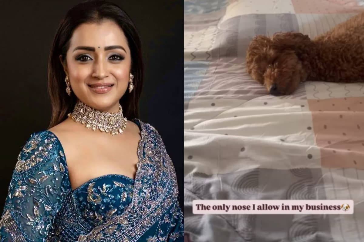 विजय संग रिश्ते की अफवाहों के बीच तृषा कृष्णन का क्रिप्टिक पोस्ट, ट्रोल्स को दिया जवाब?