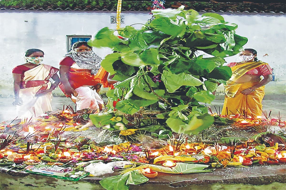 Karma Puja 2022: झारखंड में करम पर्व की तैयारी जोरों पर, विद्यार्थी गीत-नृत्य का ले रहे हैं प्रशिक्षण