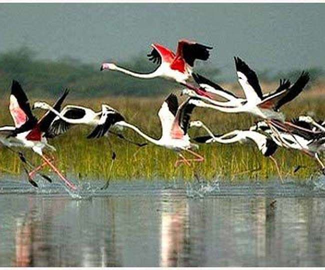 कुशेश्वरस्थान सहित 25 चौरों का बिहार सरकार करेगी कायाकल्प, की जायेगी मेंटेनेंस की व्यवस्था