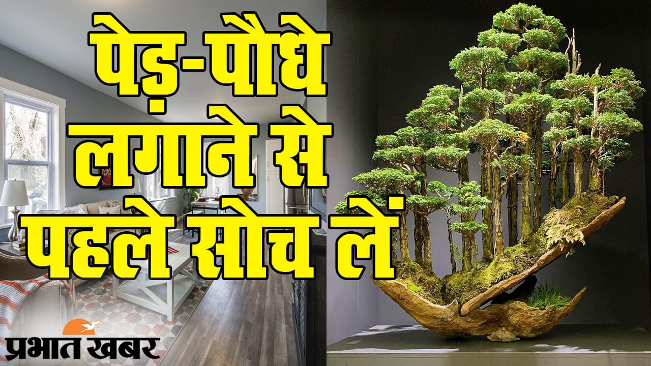 Vastu Tips: घर और परिवार से निगेटिव एनर्जी को कैसे दूर करें? पेड़-पौधे लगाने से पहले सोच लें
