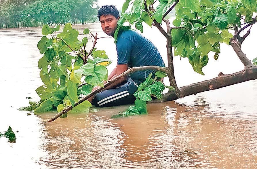बाढ़ में मकान गिरा तो पेड़ पर ली शरण, शिवहर-सीतामढ़ी का सड़क संपर्क टूटा
