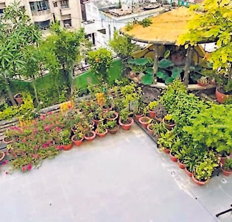 प्रभात खबर के 25 साल : एन्वायरनमेंट के साथ बढ़ी सेहत की फिक्र, पटना में गार्डनिंग के तौर-तरीकों में आये कई तरह के बदलाव