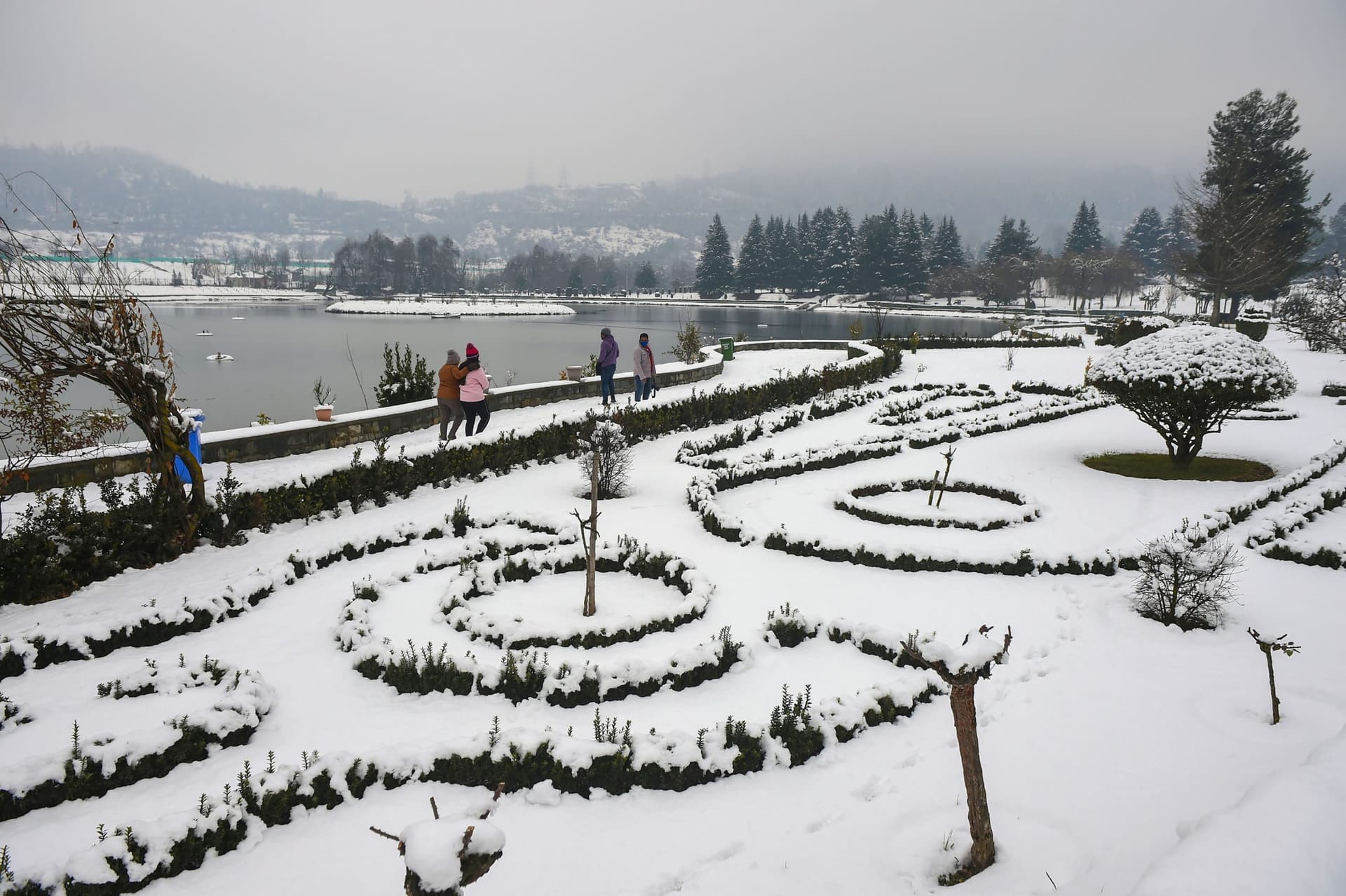 Snowfall In Srinagar: कश्मीर की धरती पर जन्नत का मंज़र, हसीं वादियों में महक रही केसर, हर तरफ बर्फ की सफेद चादर