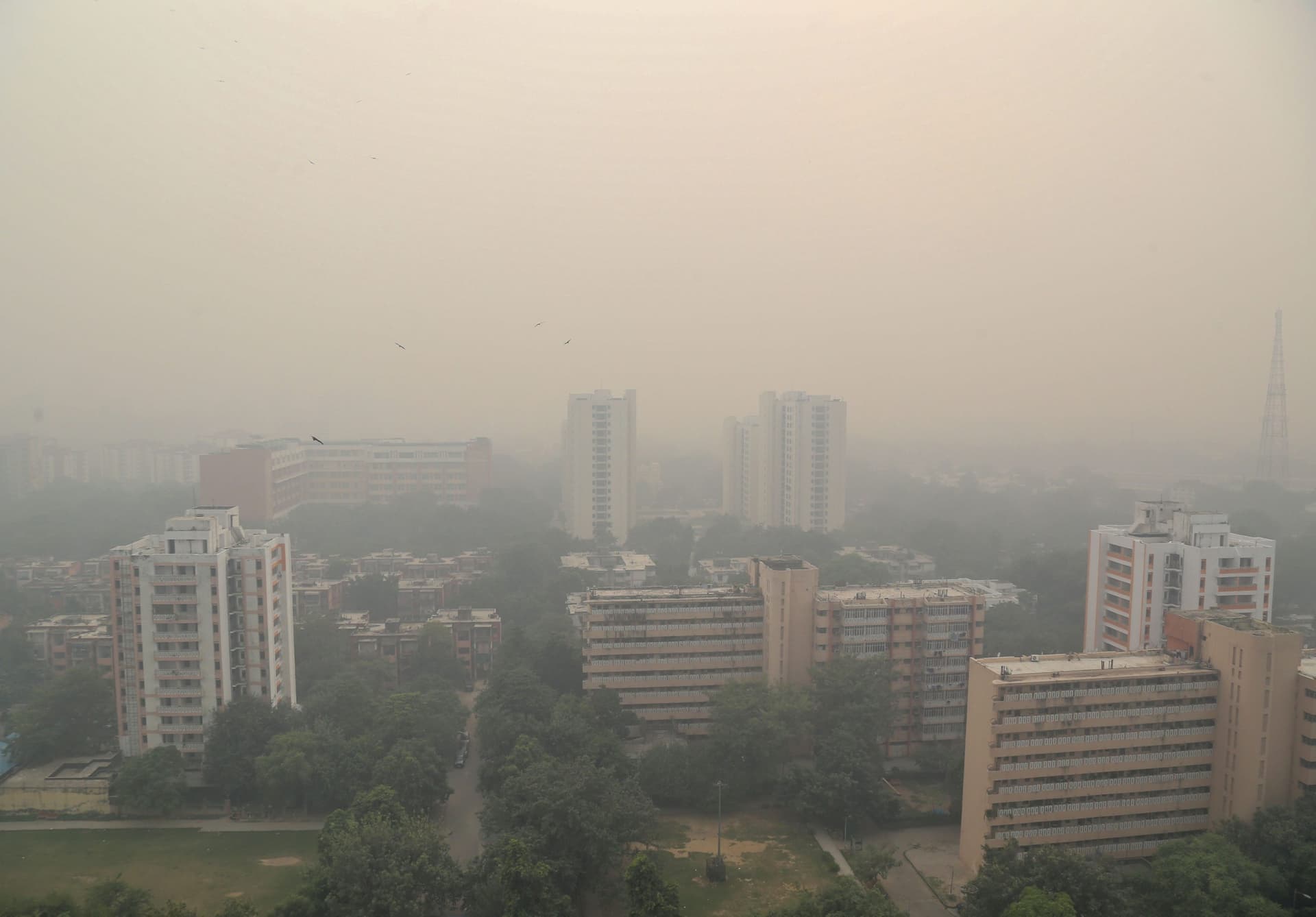Delhi Pollution: कई चीजों पर लगेगी रोक! स्कूल बंद, दिल्ली-एनसीआर में डरा रहा है AQI