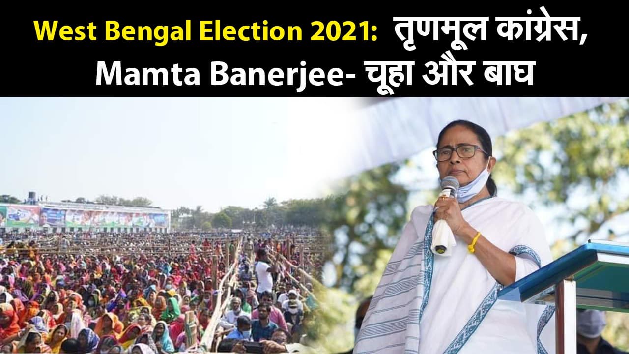 West Bengal Election 2021:  तृणमूल कांग्रेस, Mamta Banerjee- चूहा और बाघ