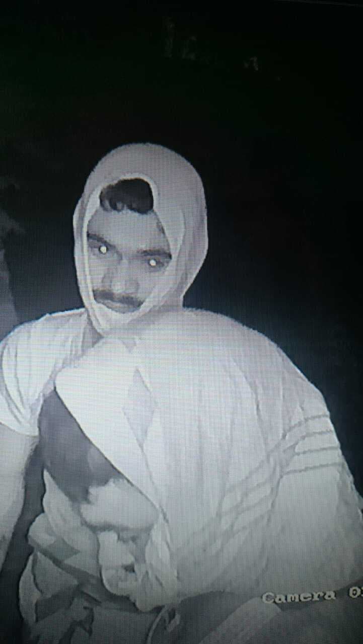 Dhanbad Crime News: पहली बार सामने आयी चड्ढी गैंग के सदस्य की तस्वीर, नावाडीह में मचा रखा है आतंक