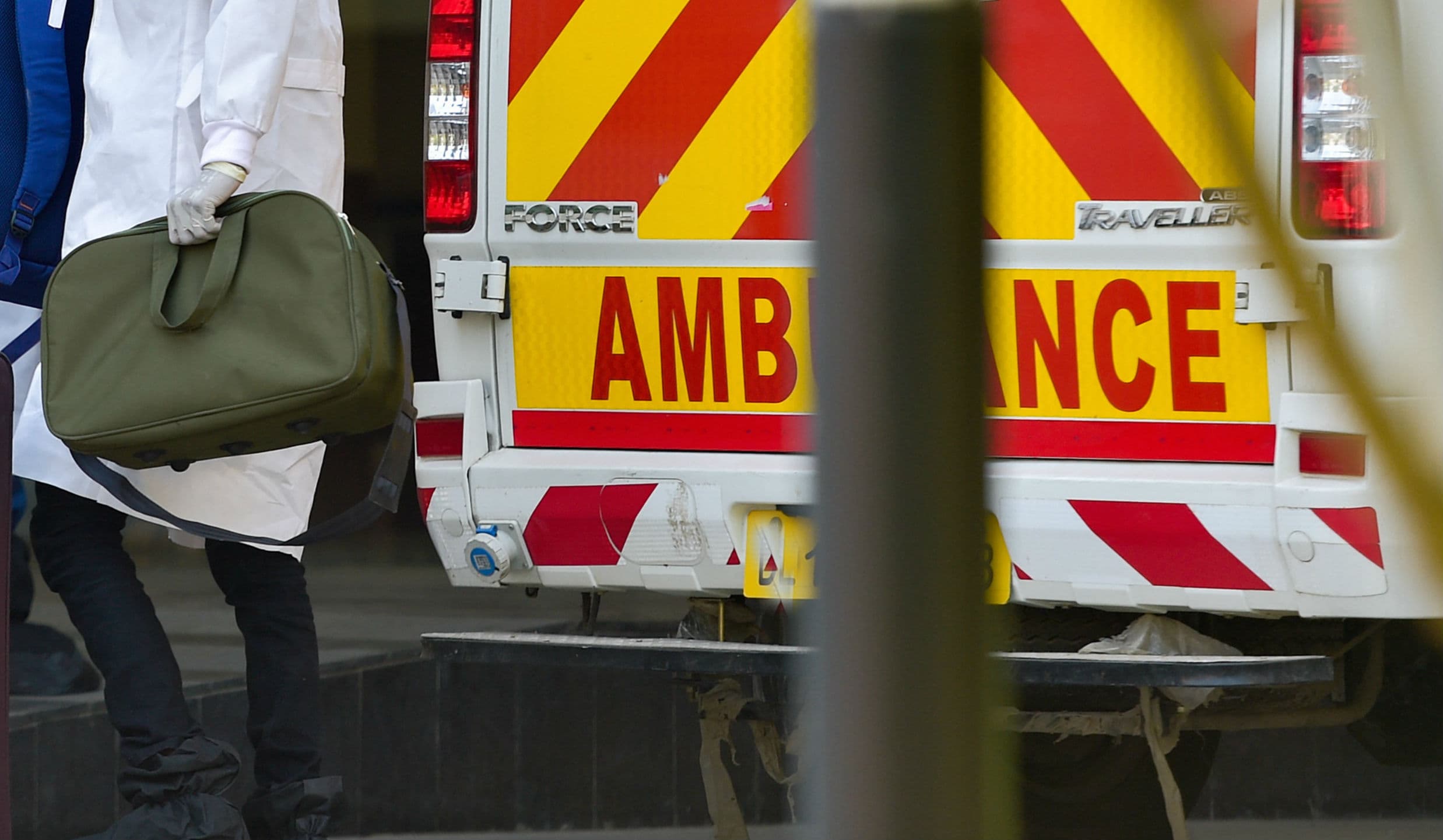 कोरोना ने आदमी के बाद अब पालतू कुत्ते को भी लिया चपेट में