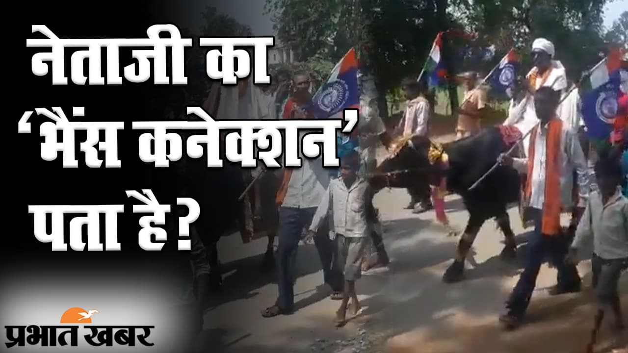 बिहार चुनाव 2020: पटना की पालीगंज सीट से प्रत्याशी का अजीब कारनामा, भैंस पर बैठकर नामांकन करने पहुंचे