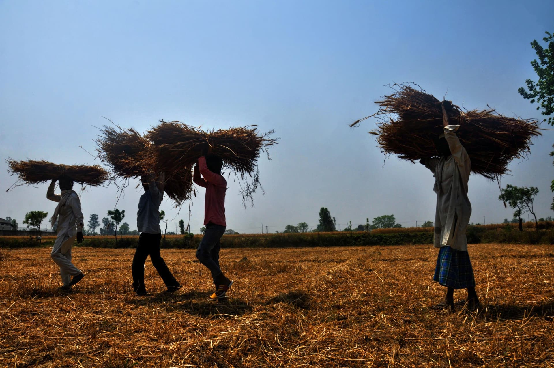 PM Kisan Yojana: इसी महीने आएगी किसानों के खाते में 13वीं किस्त! जान लें ये बात, नहीं तो अटक सकता है पैसा