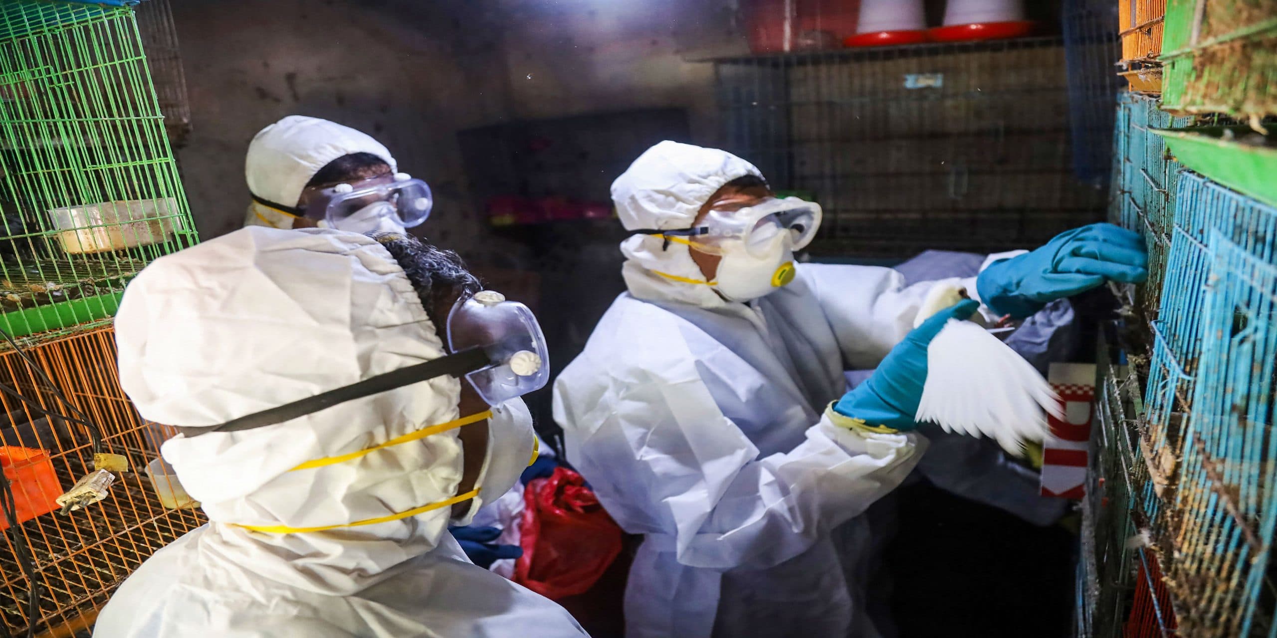 coronavirus outbreak : केरल में कोरोना वायरस को लेकर हाई अर्ल्‍ट, देशभर में संक्रमित लोगों की संख्या 39 हुई