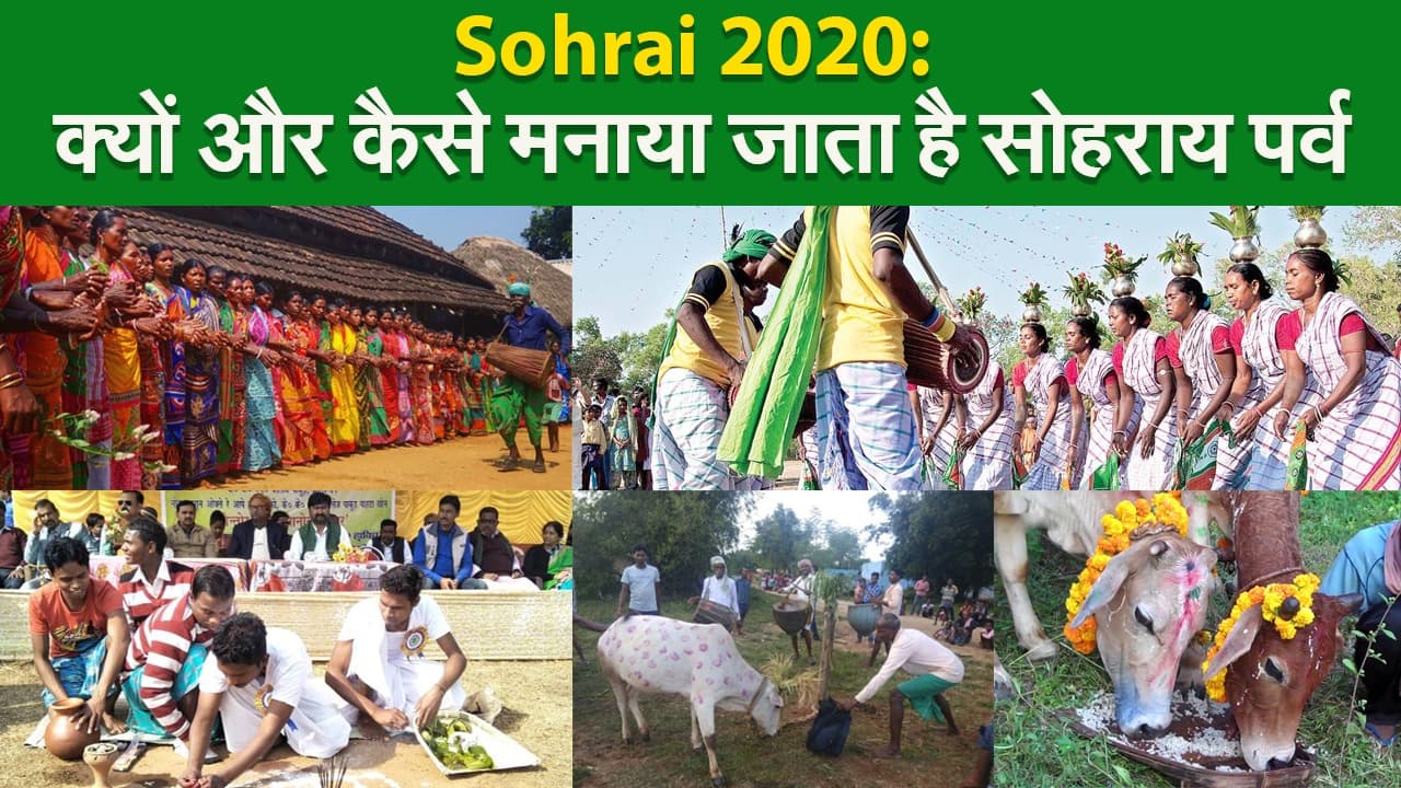 Sohrai 2020: क्यों और कैसे मनाया जाता है सोहराय पर्व