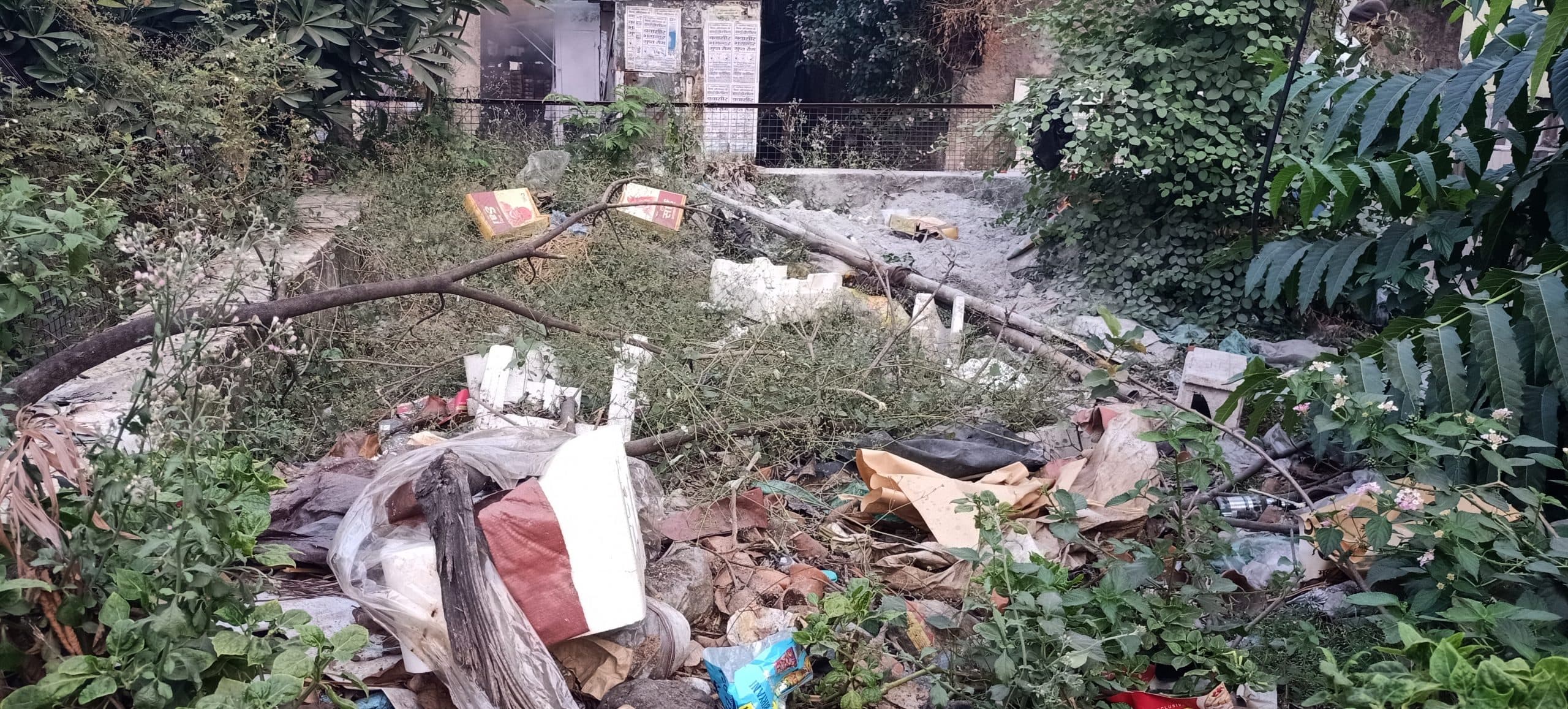 गिरिडीह : नगर निगम क्षेत्र से दर्जनाधिक सरकारी कुएं गायब, गर्मी में बुझती थी बड़ी आबादी की प्यास