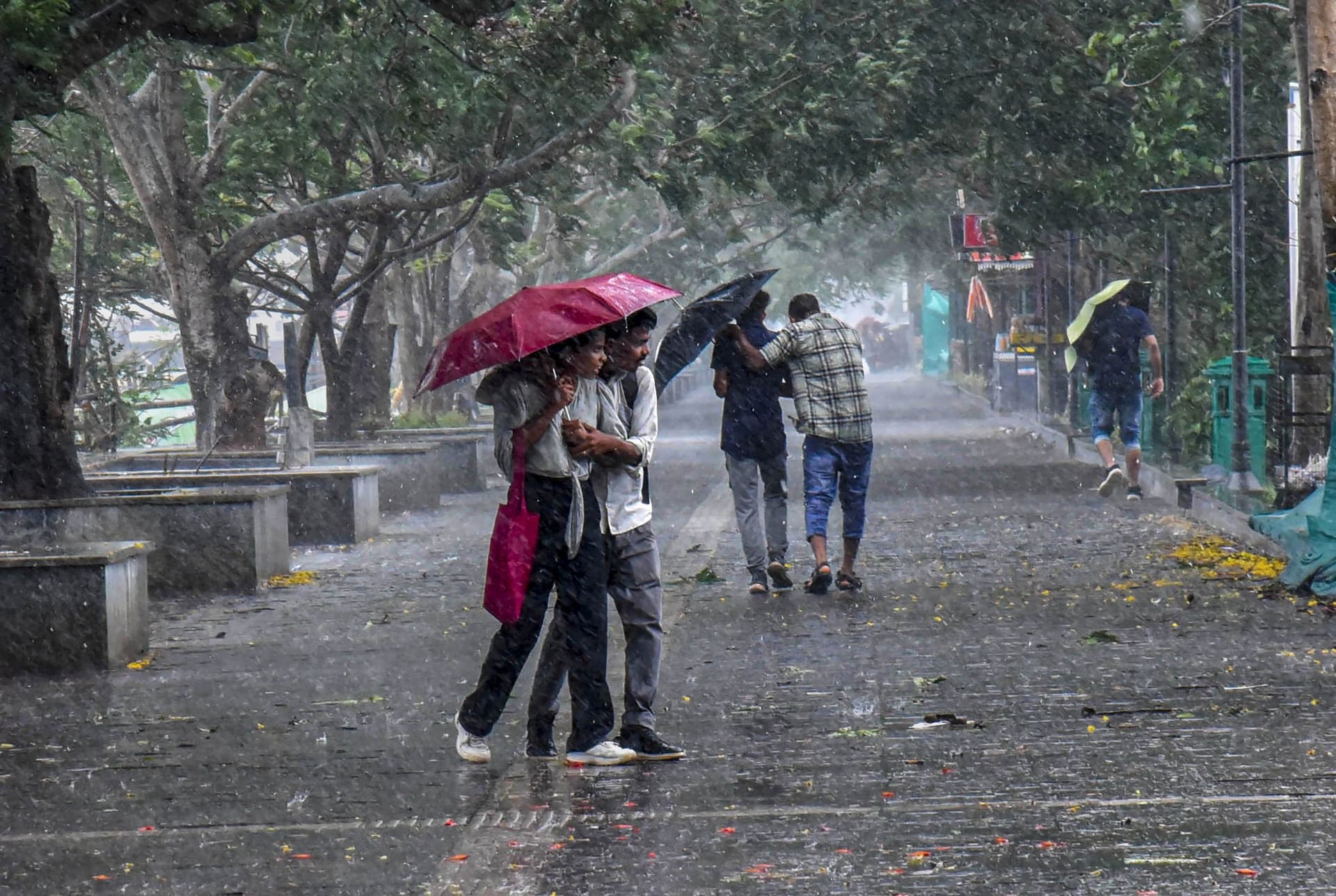 Weather Forecast Updates: बदलेगा छत्तीसगढ़ का मौसम, इन राज्यों में होगी बारिश, जानें मौसम का हाल