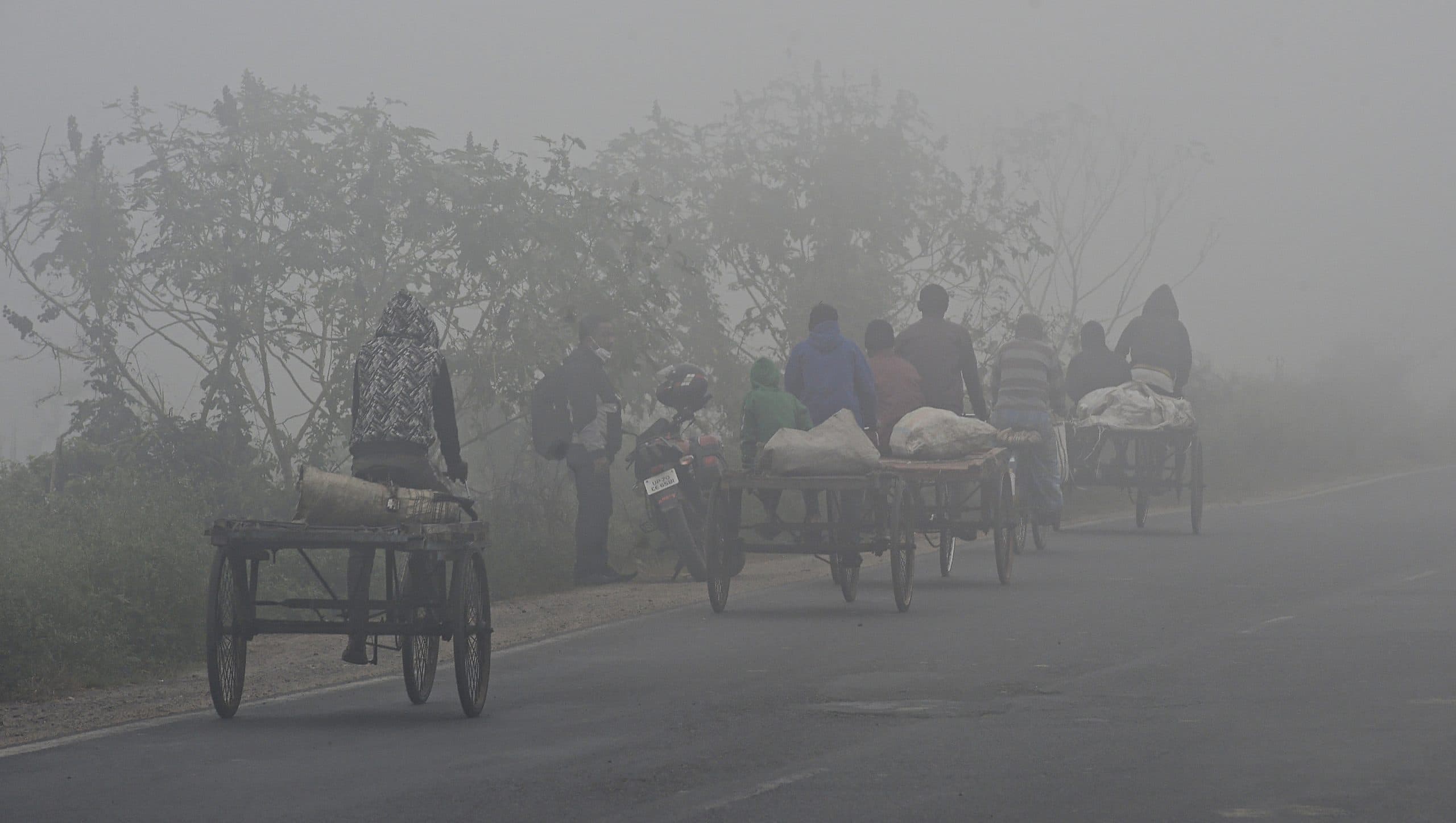 Bihar Weather Forecast : 13 से 16 दिसंबर के बीच बिहार में हो सकती है बारिश, कोहरे से रबी फसल को होगा फायदा