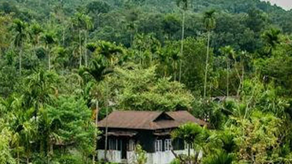 PHOTOS: कर्नाटक में घूमने के लिए सबसे खूबसूरत टूरिस्ट डेस्टिनेशन