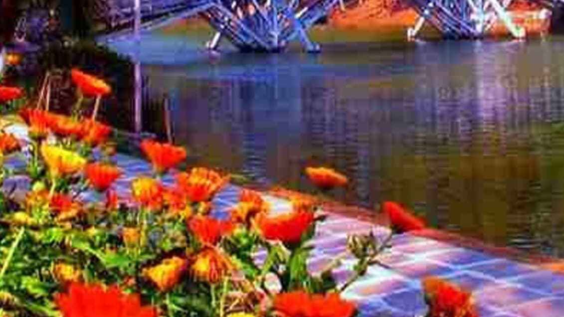 Odisha Tourism Places: बेहद खूबसूरत है चिल्का झील, जानिए कैसे पहुंचे ओडिशा