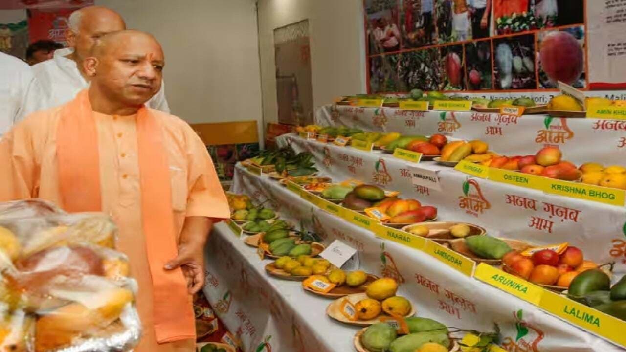 आम महोत्सव में फर्जी किसान बनकर उद्यान विभाग के कर्मचारियों ने CM योगी से हासिल कर लिया पुरस्कार, नोटिस जारी