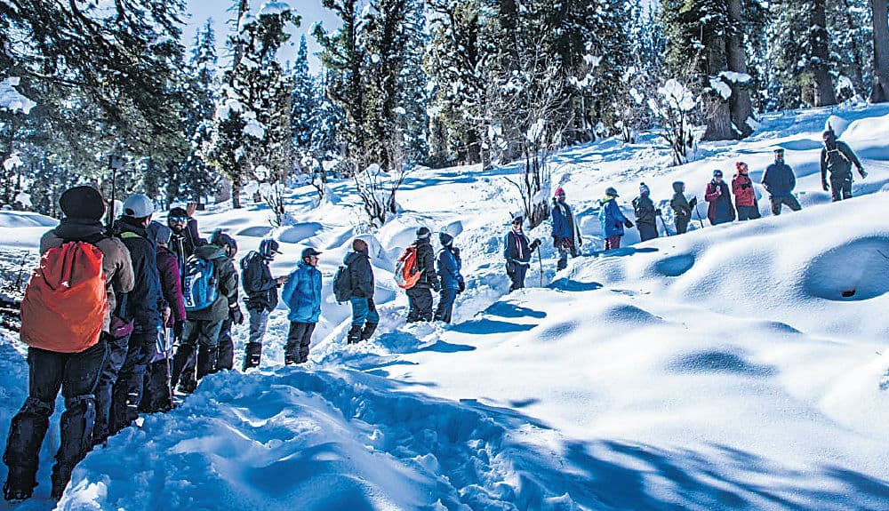 Weather Forecast LIVE Updates Today : झारखंड-बिहार में आंधी-तूफान के साथ भारी बारिश की चेतावनी, जानें यूपी, दिल्ली समेत अन्य राज्यों का हाल