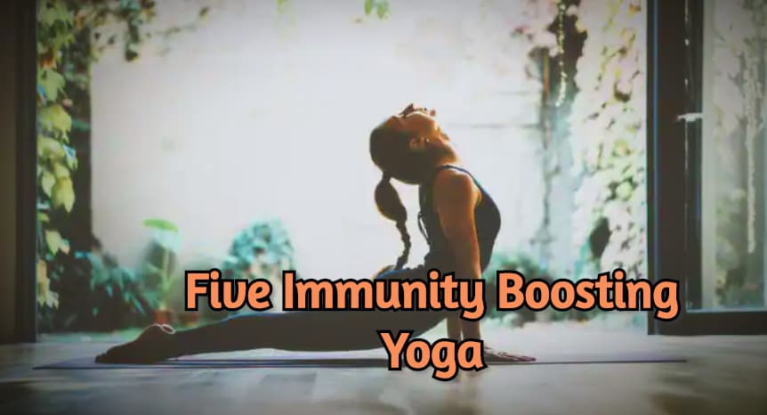 International Yoga Day 2020 : Coronavirus से बचने और इम्यून सिस्टम मजबूत करने के लिए करें ये 5 योग