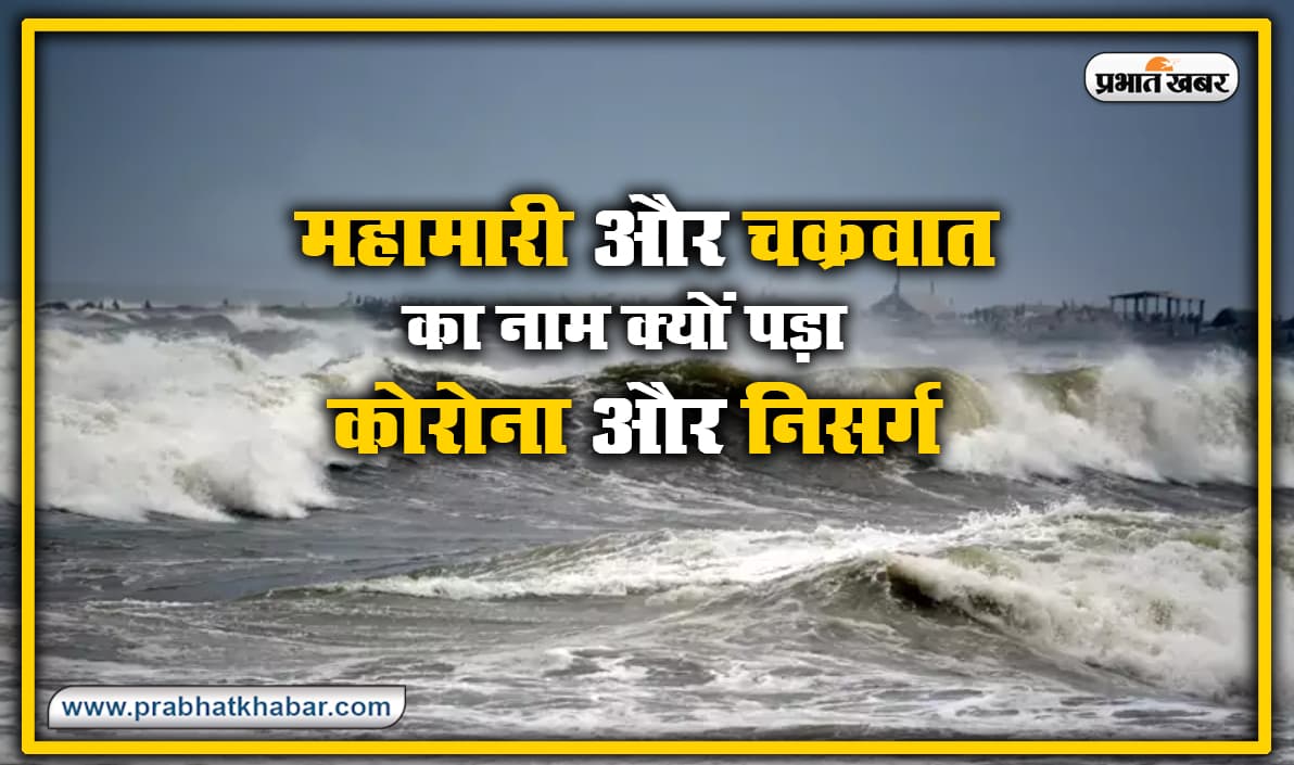NTA SSC मिलिट्री नर्सिंग सर्विस के लिए नोटिफिकेशन जारी, इस दिन से कर सकते हैं आवेदन