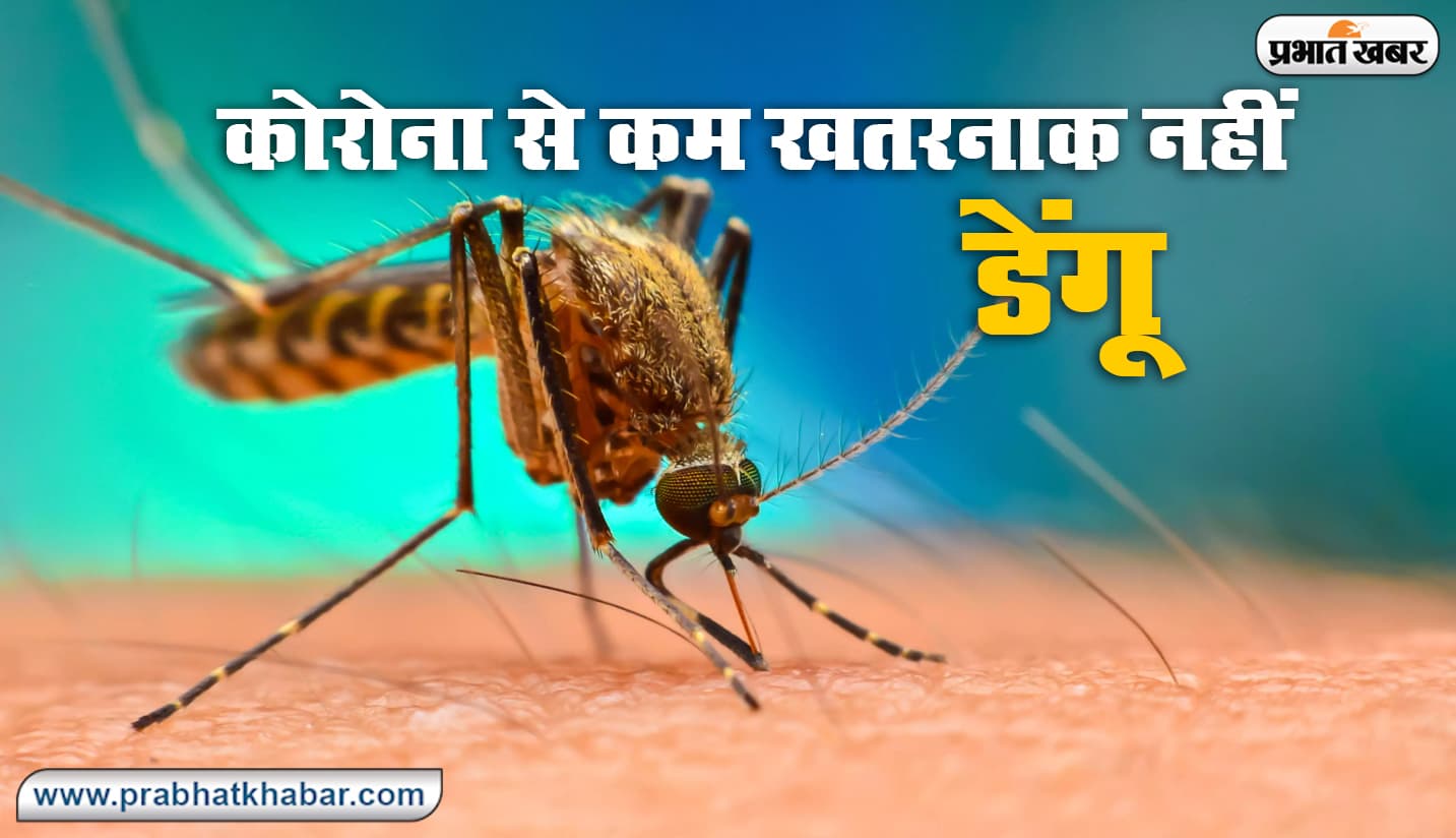 5 साल में 6.5 लाख भारतीयों को हुआ डेंगू, जानिए बिहार-झारखंड के लोगों में कितना है खौफ