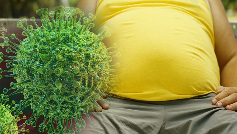 इस राज्य में Staff Nurse की सैलरी है 1.4 लाख से ज्यादा, आवेदन शुरू, यहां से करें डायरेक्ट अप्लाई