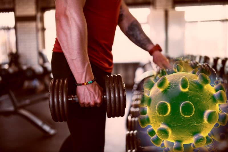 मोर पंख से भगाएं छिपकली, जानें चूहे, कॉकरोच, मच्छर-मक्खी भगाने के घरेलू उपाय