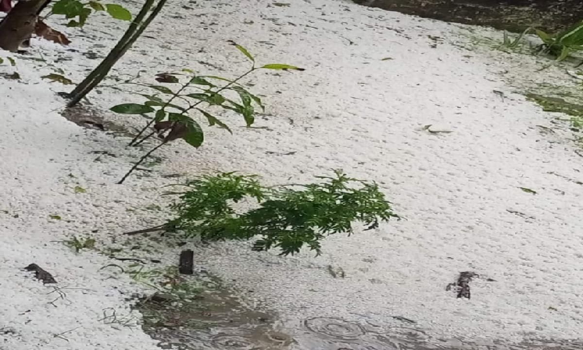 Bihar Tourism: देसी पर्यटकों को पटना तो विदेशी को भा रहा गया, चार महीने में एक करोड़ से अधिक पर्यटक आए बिहार