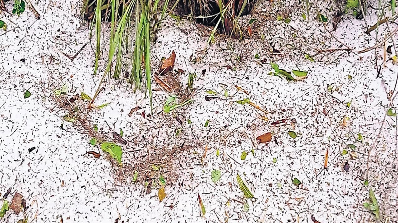 अब सोनिया गांधी के सबसे भरोसेमंद नेता अहमद पटेल से पूछताछ करने पहुंची ईडी, जानें क्या है मामला