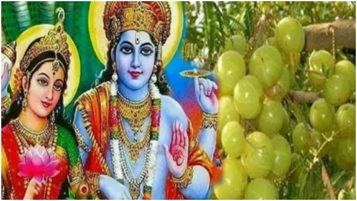 Akshaya Navami 2023: विशेष योगवाली अक्षय नवमी आज, आंवले के वृक्ष के पूजन का है विशेष महत्व