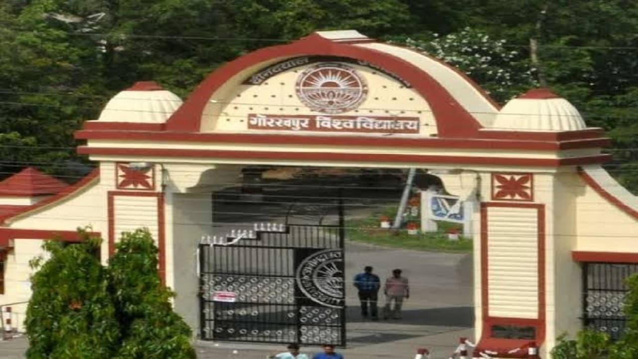 गोरखपुर यूनिवर्सिटी में आज से स्नातक पाठ्यक्रमों की काउंसलिंग शुरू, यहां देखें कटऑफ लिस्ट