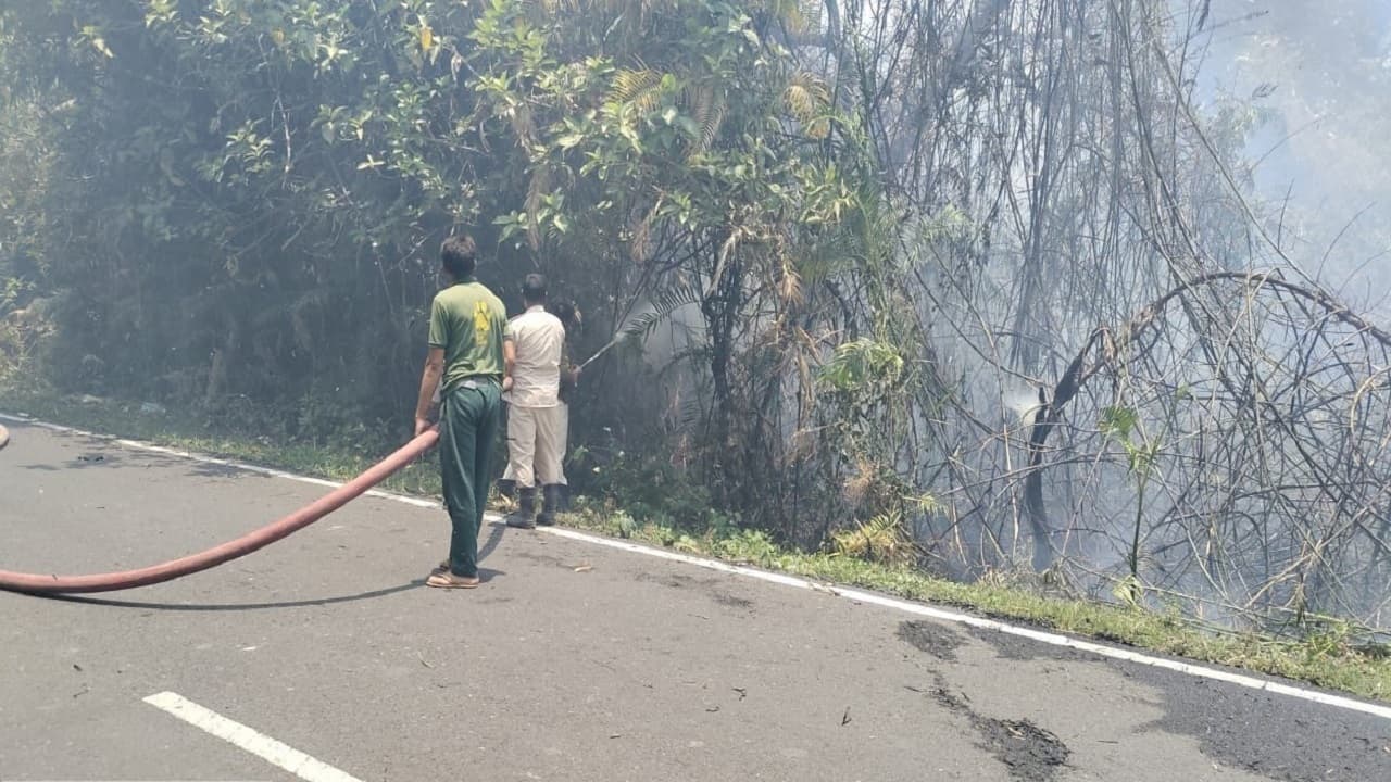 VTR: जंगल में लगी भीषण आग, बड़ा हिस्सा जलकर राख, बचने के लिए गांव में घुस रहे जंगली जानवर