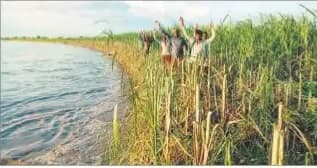 गंडक नदी के रौद्र रूप से ग्रामीणों में दहशत