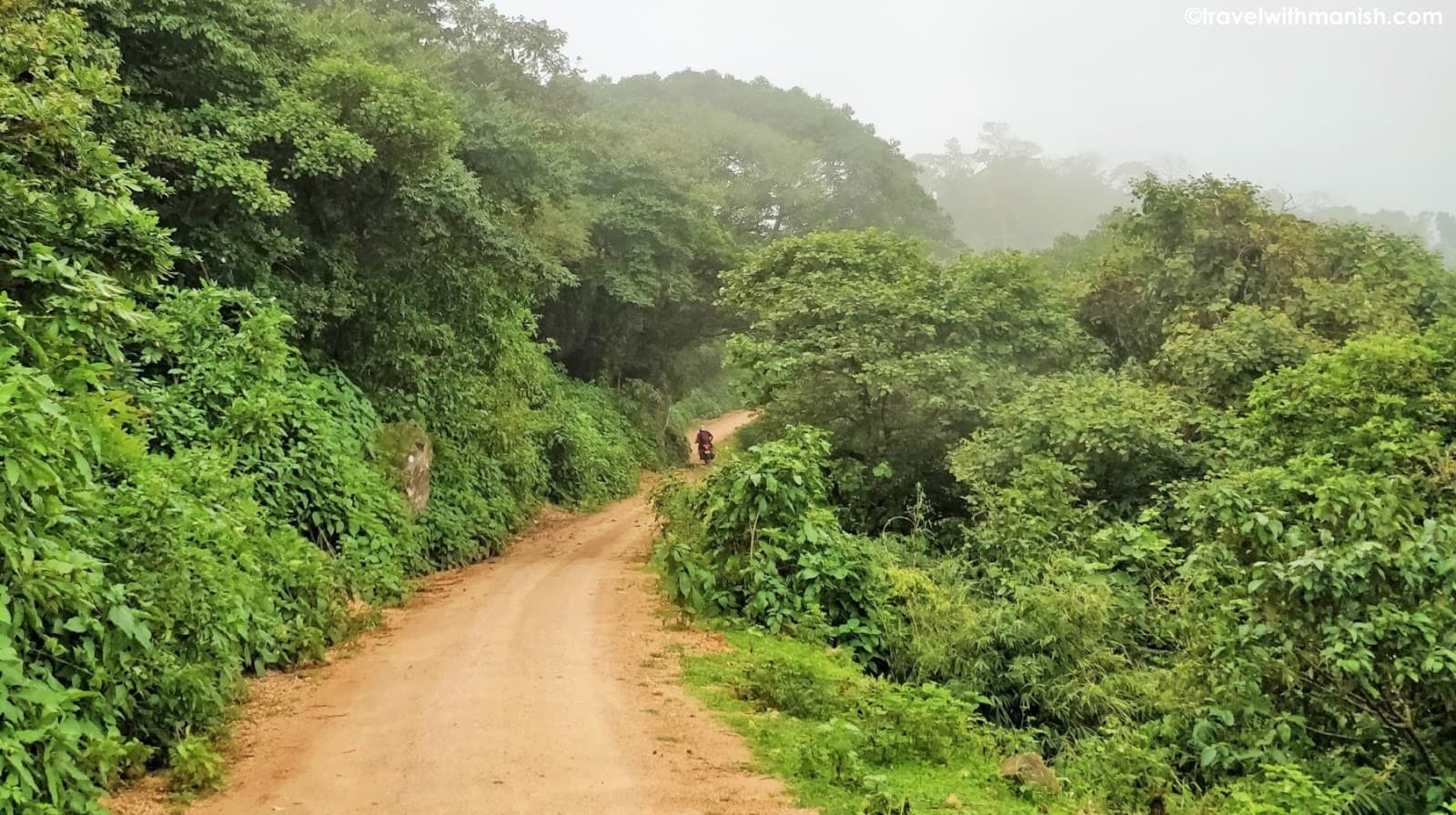 बिहारशरीफ के वन भूमि पर लगातार हो रहे अवैध कब्जे