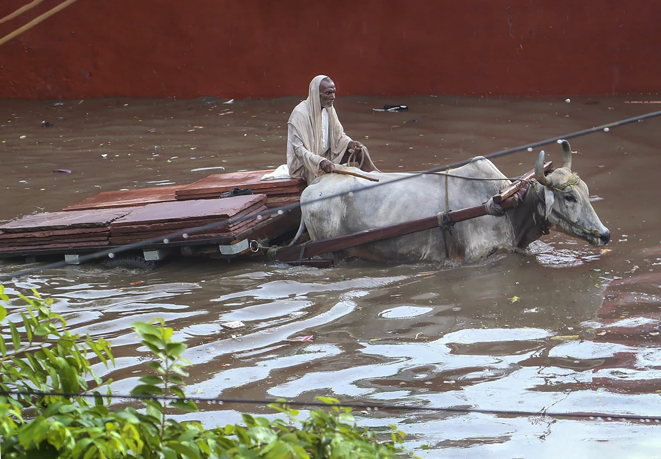 Weather Forecast: यमुना में खतरनाक स्तर पर पहुंचा जलस्तर, पंजाब-हरियाणा में भीषण बारिश से 18 की मौत
