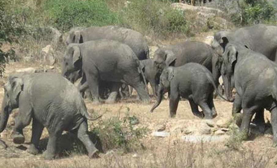 France : नीस के चर्च में हुए हत्याकांड से उबले स्थानीय लोग, कैंडल मार्च निकालकर ऐसे जताया विरोध
