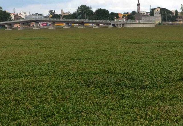 Samford Hospital : फिर विवादों में सैम्फोर्ड अस्पताल, किडनी चोरी की शिकायत, पुलिस कर रही है जांच