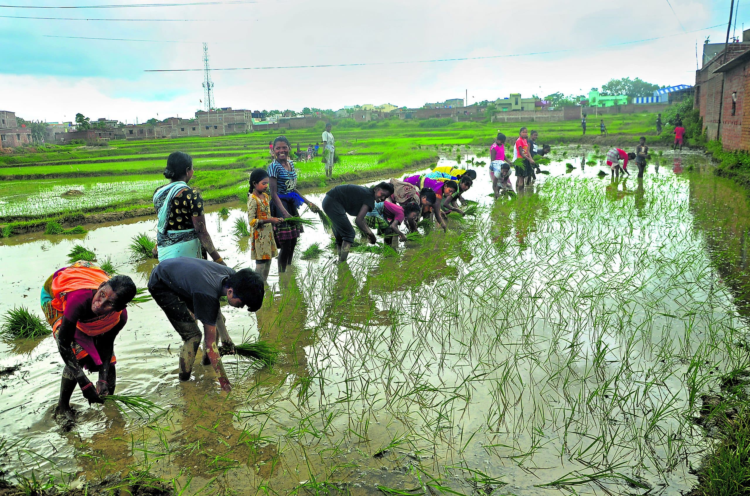 Jharkhand Weather: राज्य में मॉनसून सक्रिय,16 अगस्त तक पूरे राज्य में होती रहेगी बारिश