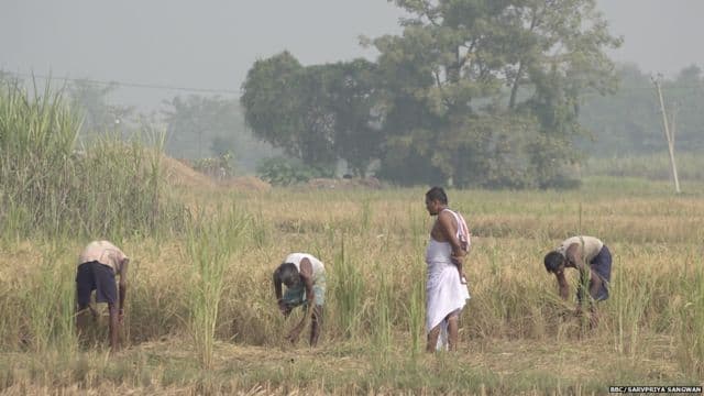 60 वर्ष के किसानों को मिलेगी पेंशन, सुविधा का लाभ पाने के लिए करना होगा ये काम