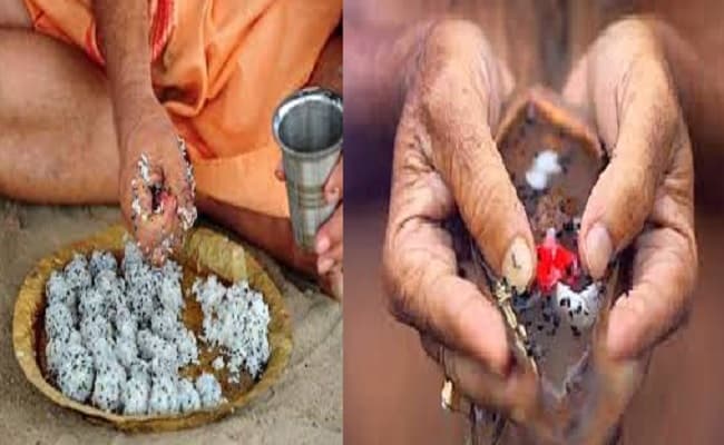 Pitra Moksha Amavasya 2020 Date: पितृपक्ष में भूल कर भी न बनाएं रसोई में ये चीजें, जानें इन दिनों ये गलतियां करने पर पितृ हो जाते है क्रोधित