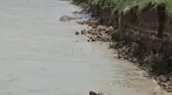 कोसी के जलस्तर में आयी कमी, महानंदा उफान पर, तटबंध के अंदर हो रहे कटाव से लोग भयभीत