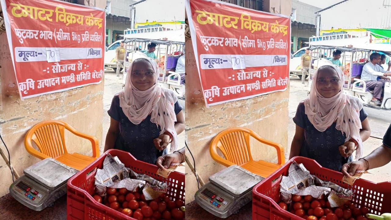 बरेली डेलापीर मंडी में 75 रुपए किलो टमाटर, कृषि उत्पादन मंडी समिति ने कैंप लगाकर की बिक्री