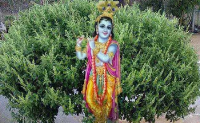 अपने नैहर पहुंचीं बिहुला, स्वागत में जुटा नवगछिया, सादगी के साथ शुरू हुई बिहुला-विषहरी पूजा