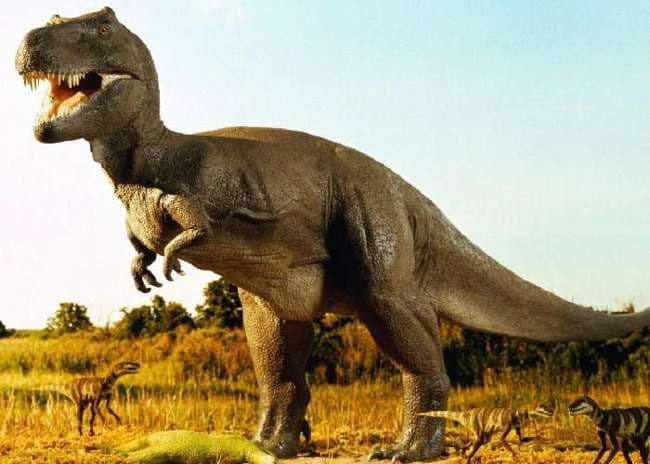 Aligarh News: अलीगढ़ में फिर आ रहे हैं डायनासोर! जानें इस बार 'ट्रेड महोत्सव' में और क्या है खास