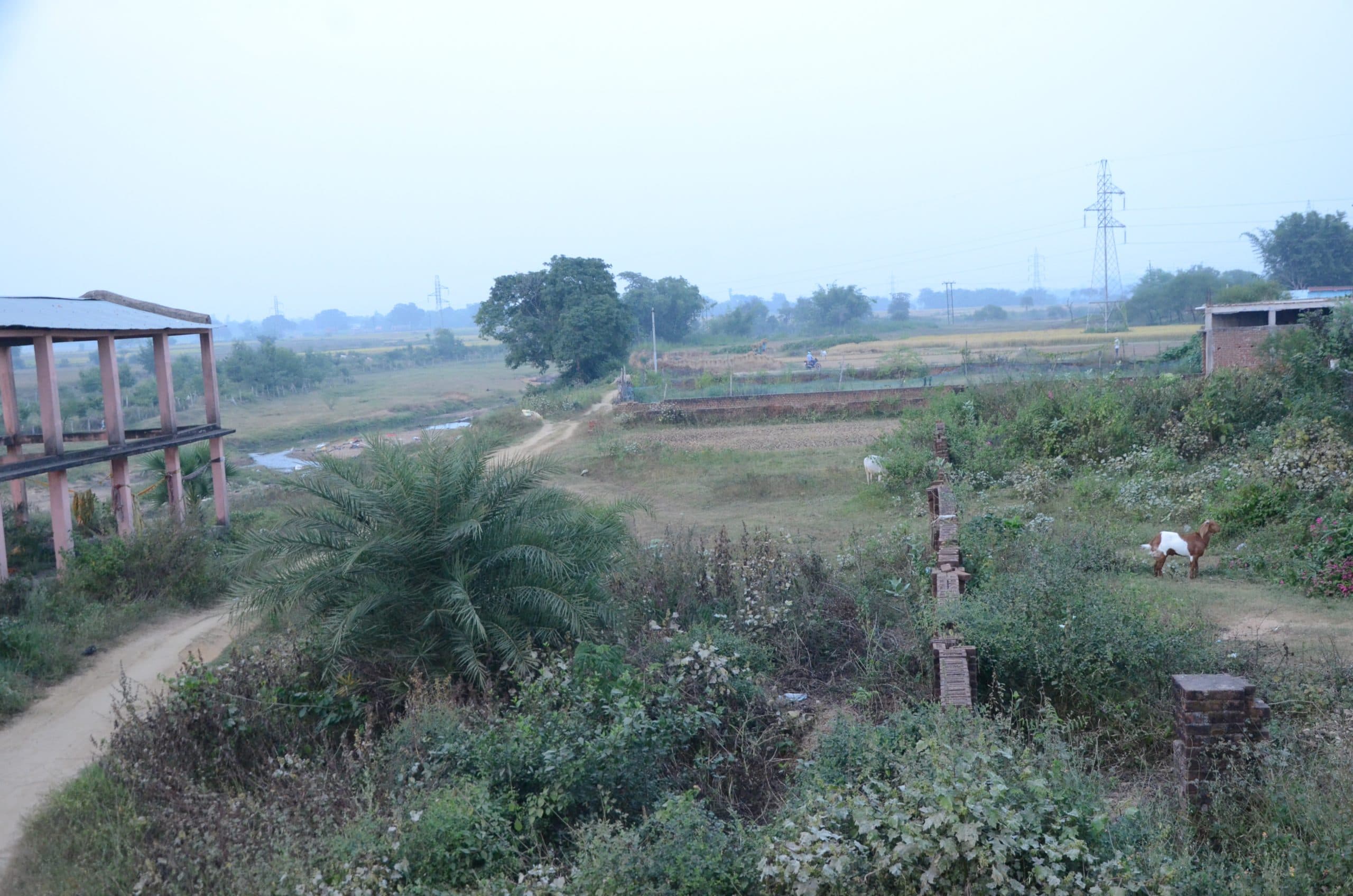 देवघर: डढ़वा नदी पुल से एयरपोर्ट के इमरजेंसी गेट तक सड़क के डीपीआर बनाने का काम शुरू